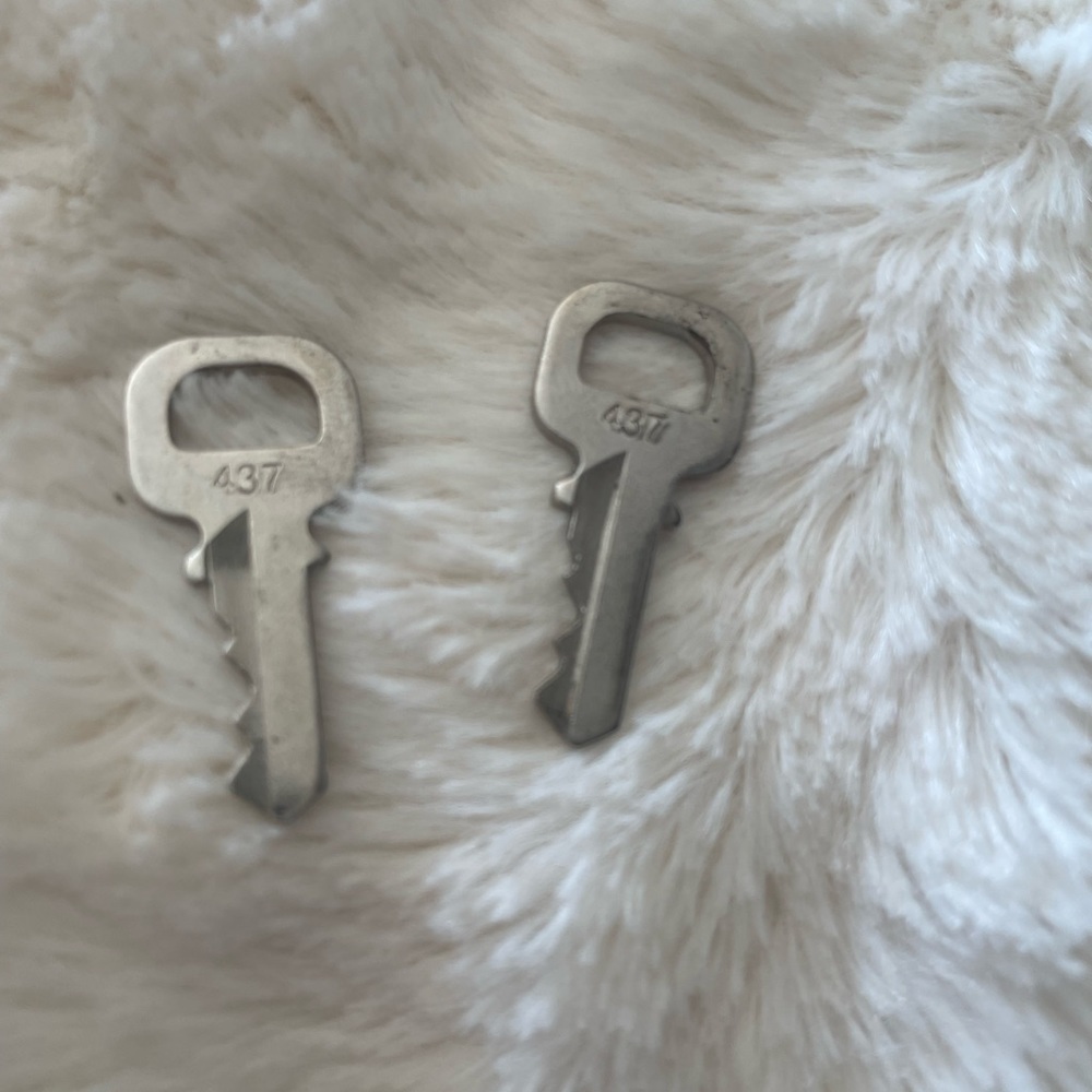 Louis Vuitton set of keys #437
